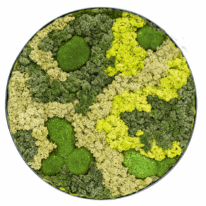 Moswand, rond Ø 60cm
