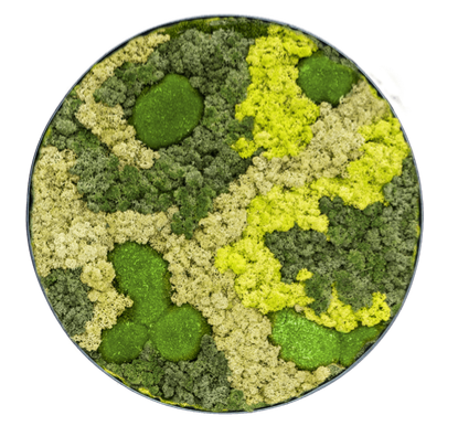 Moswand, rond Ø 60cm